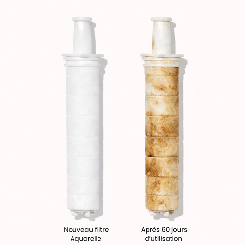 Filtre de rechange pour pommeau de douche - Aquarelle